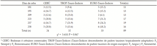 Tabla 4. Distribución de frecuencias (número y % de toretes) según lotes cosechados con diferentes días de ceba y biotipo