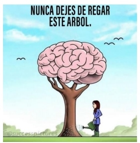 ¡Los 21 factores que afectan la calidad de los huevos fértiles! - Image 2