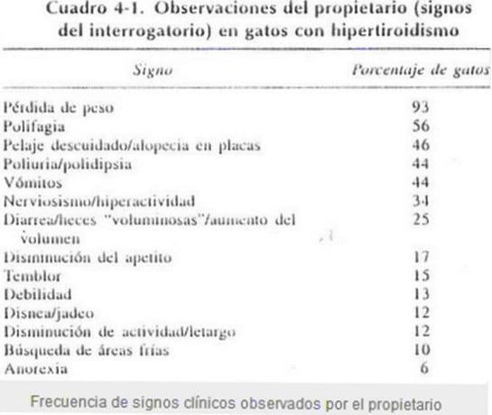Hipertiroidismo Felino (Parte I) - Image 1
