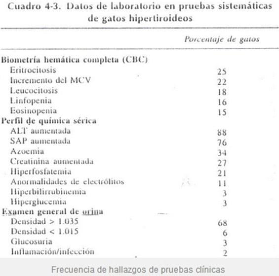 Hipertiroidismo Felino (Parte I) - Image 4