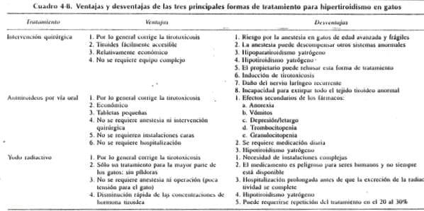 Hipertiroidismo Felino (Parte II) - Image 1