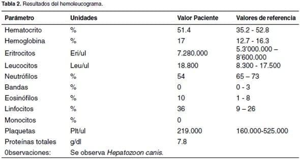 Uveítis y glaucoma asociados a infección por Hepatozoon canis: reporte de un caso - Image 3