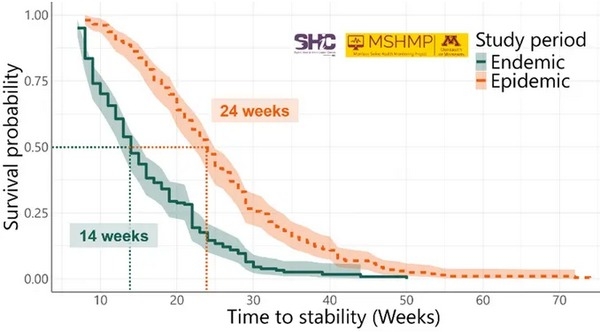 PEDV: Las manadas de cerdas están eliminando el virus más rápidamente - Image 3