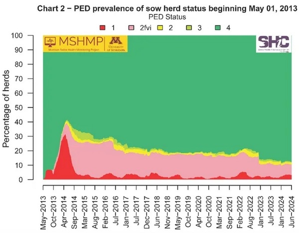 PEDV: Las manadas de cerdas están eliminando el virus más rápidamente - Image 2