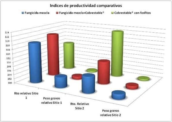 Evaluación de productos para el manejo de enfermedades en cultivo de soja, ciclo agrícola 2011/2012 - Image 9