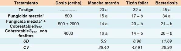 Evaluación de productos para el manejo de enfermedades en cultivo de soja, ciclo agrícola 2011/2012 - Image 5