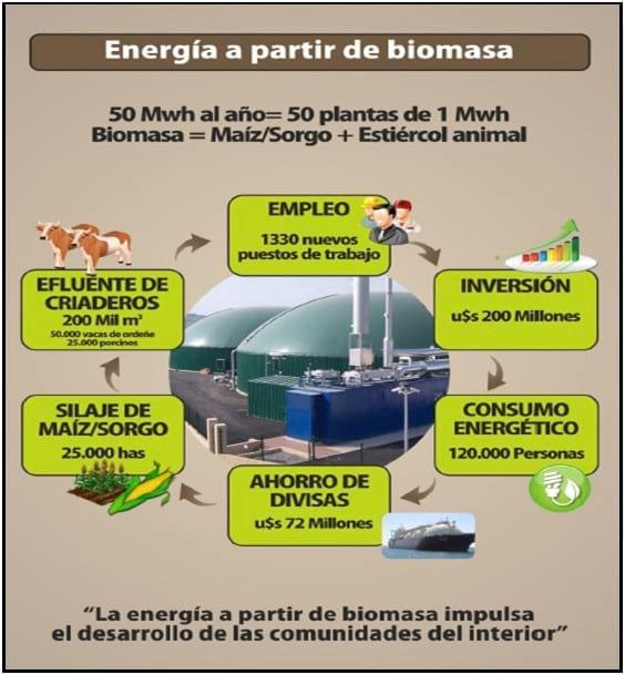 Biomasa agropecuaria. Una alternativa para el desarrollo regional y energético de Argentina - Image 1