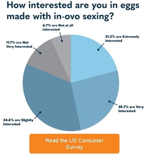 Determinación del sexo in ovo - Image 4