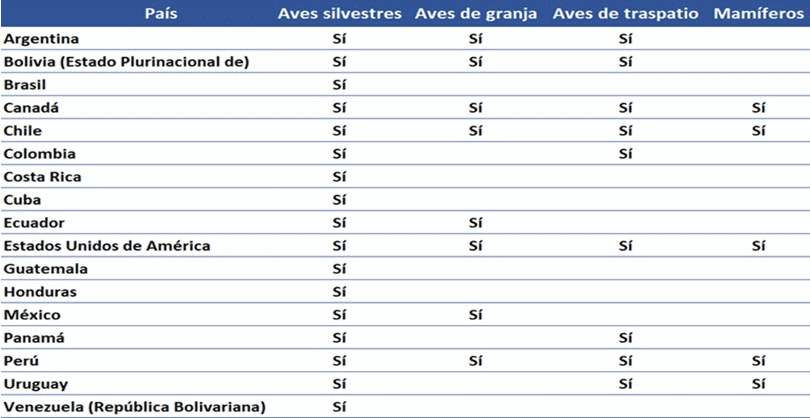 Virus de la influenza H5N1 en aves y humanos - Image 2