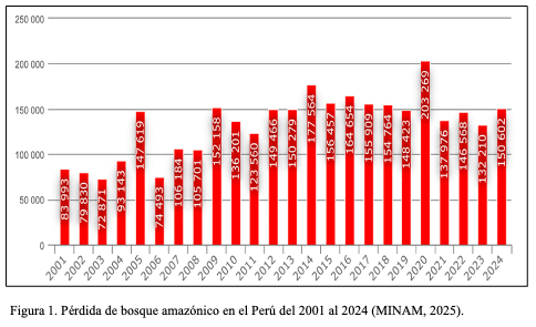 Figura 1. Pérdida de bosque amazónico en el Perú del 2001 al 2024 (MINAM, 2025).