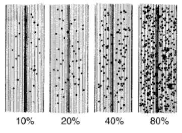 Ensayos de evaluación de fungicidas en mezcla con x-trim en el control de enfermedades foliares del cultivo de trigo (2005) - Image 4