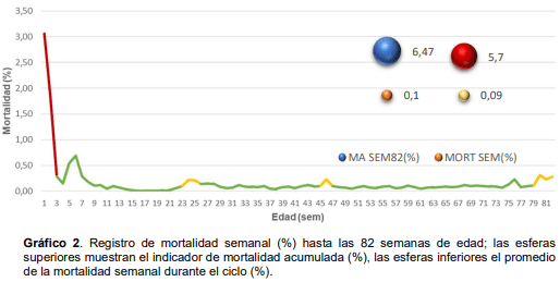 Gráfico 2. Registro de mortalidad semanal (%) hasta las 82 semanas de edad; las esferas superiores muestran el indicador de mortalidad acumulada (%), las esferas inferiores el promedio de la mortalidad semanal durante el ciclo (%).