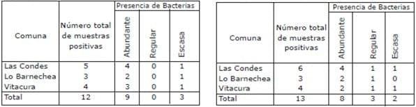 Determinación de la frecuencia de presentación de microorganismos bacterianos y micóticos en peluquerías caninas del área metropolitana, sector oriente. - Image 3