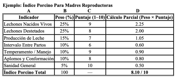 Selección de una madre porcina como reproductora - Image 16