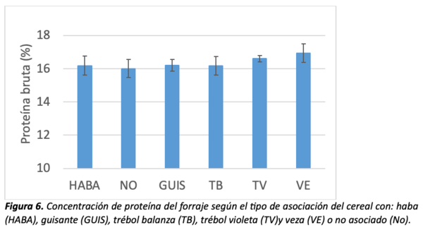 figura 6