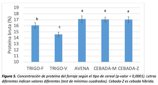 figura 5
