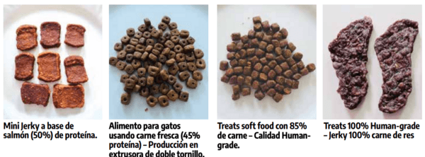 Innovación disruptiva en la industria del pet food - Image 2
