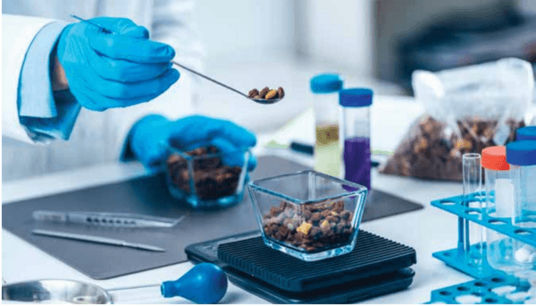 Innovación disruptiva en la industria del pet food - Image 1