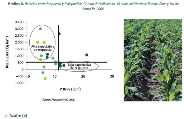Mejores Prácticas de Manejo (MPM) de los Fertilizantes para el Cultivo de Maíz - Image 12