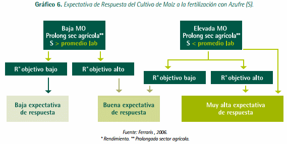 Mejores Prácticas de Manejo (MPM) de los Fertilizantes para el Cultivo de Maíz - Image 13