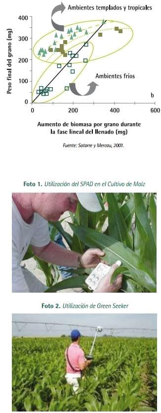 Mejores Prácticas de Manejo (MPM) de los Fertilizantes para el Cultivo de Maíz - Image 8
