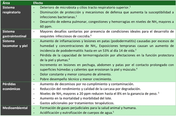 La cama avícola: ¿Aliada o enemiga? - Image 2