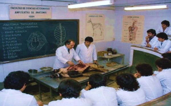 “Mortui Vivos Docent” … Los muertos enseñan a los vivos. Inmenso valor tiene la realización de las necropsias - Image 1