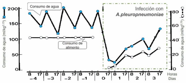 Factores que determinan el éxito de tratamientos hídricos - Image 1