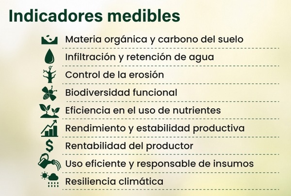Agricultura regenerativa: innovación, ciencia y resultados para una agricultura sostenible - Image 2