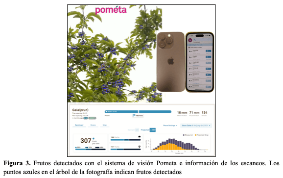 Figura 3. Frutos detectados con el sistema de visión Pometa e información de los escaneos. Los puntos azules en el árbol de la fotografía indican frutos detectados