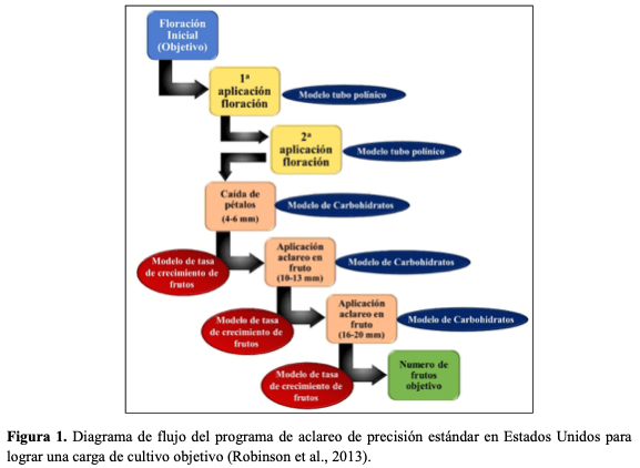 Figura 1. Diagrama de flujo del programa de aclareo de precisión estándar en Estados Unidos para lograr una carga de cultivo objetivo (Robinson et al., 2013).