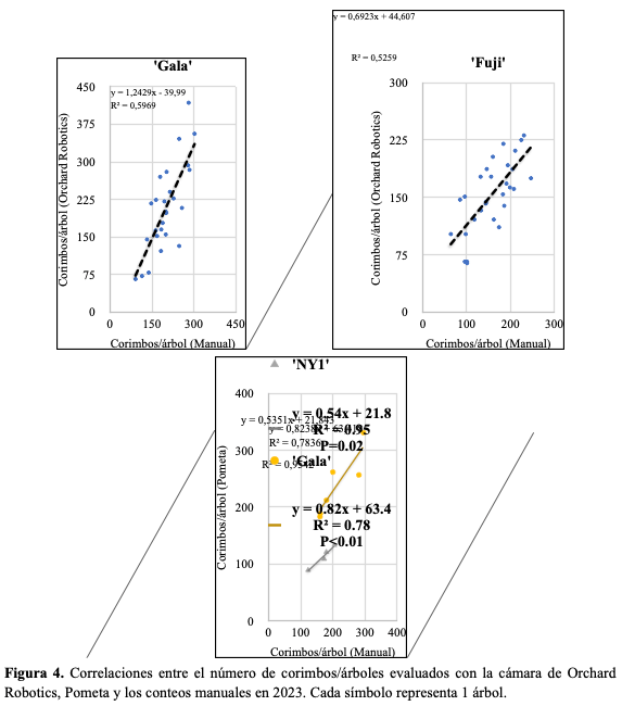 Figura 4. Correlaciones entre el número de corimbos/árboles evaluados con la cámara de Orchard Robotics, Pometa y los conteos manuales en 2023. Cada símbolo representa 1 árbol.
