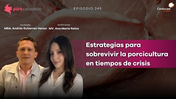 Estrategias para sobrevivir la porcicultura en tiempos de crisis - Image 1
