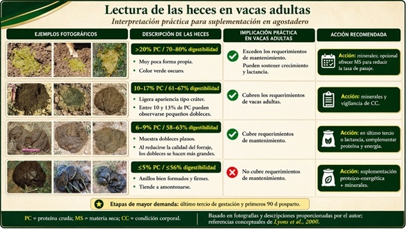 Suplementación mínima efectiva: una estrategia para hacer más eficiente el ganado en agostadero - Image 8