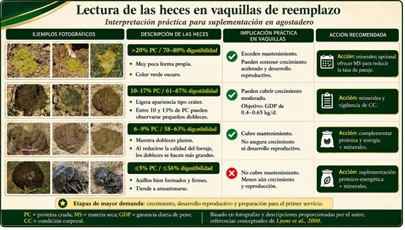 Suplementación mínima efectiva: una estrategia para hacer más eficiente el ganado en agostadero - Image 7