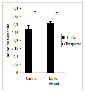 Trasplante vs. Siembra directa en maiz dulce (Zea Mays l.): Producción y utilización de fotoasimilados - Image 9