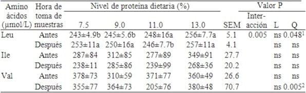 Aminoácidos libres de cadena ramificada en suero de caballos de concursos hípicos alimentados con diferentes niveles proteicos - Image 2