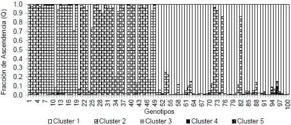 Caracterización molecular de una población de mapeo asociativo de Lotus Tenuis: diversidad y estructura genética - Image 1