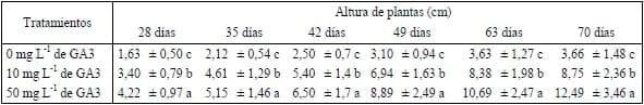 Evaluación de altura y número de plantas de poa Flabellata (Lam) con aplicación de tratamientos de Giberelinas - Image 2