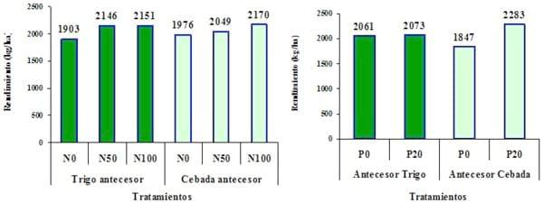 Rendimiento y eficiencia comparativa de uso de fósforo, nitrógeno y agua en trigo y cebada cervecera en la región centro y noroeste de Buenos Aires - Image 20