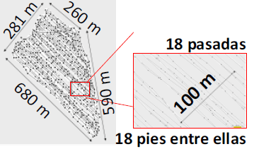Neumáticos radiales vs diagonales en equipos de cosecha - Image 4