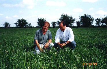 Rejuvenecimiento de las alfalfas, al 20 años de aquella experiencia - Image 17