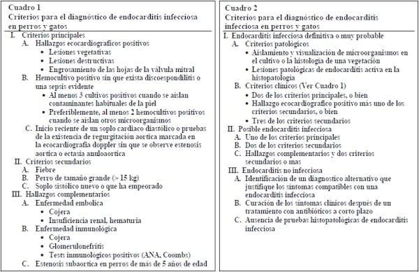 ENDOCARDITIS BACTERIANA: REPORTE DE CASO - BACTERIAL ENDOCARDITIS: CASE REPORT - Image 1