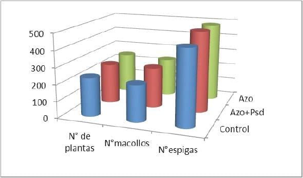 Evaluación de distintos fertilizantes foliares y promotores de crecimiento que mejoren la producción y calidad del Trigo - Image 7