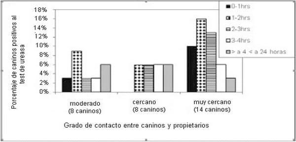 Relación entre el grado de contacto perro-propietario y la carga de helicobacterias en mucosa gástrica canina - Image 2