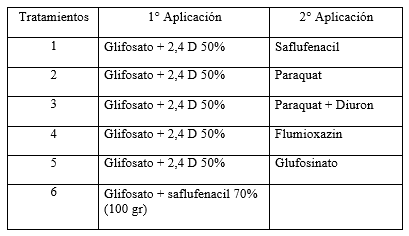 Alternativas al “doble golpe” para el control de conyza spp. en barchecho de maiz tardio - Image 11
