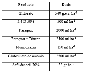 Alternativas al “doble golpe” para el control de conyza spp. en barchecho de maiz tardio - Image 4