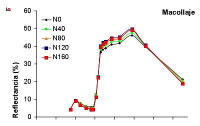 Indices espectrales según fertilizacion nitrogenada y zonas de productividad de trigo - Image 4