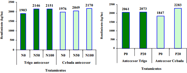 Rendimiento y eficiencia comparativa de uso de fósforo, nitrogeno y agua en trigo y cebada cervecera en la Región Centro y Noroeste de Buenos Aires - Image 20