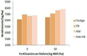 Rendimiento de trigo según uso de promotores de crecimiento y fertilización fosfatada - Resumen Trigo y Cebada. INTA Tandil 2013-14. - Image 2
